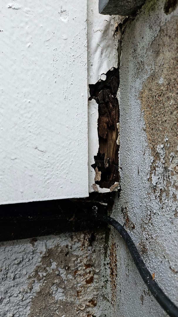Rötskada på fasad upptäckt under renovering på hus i Lidingö - åtgärder och fastighetsförvaltning