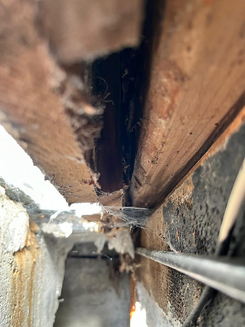 Närbild på rötskada i husets bjälklag under renovering på Lidingö-hus/ fastighetsreparation
